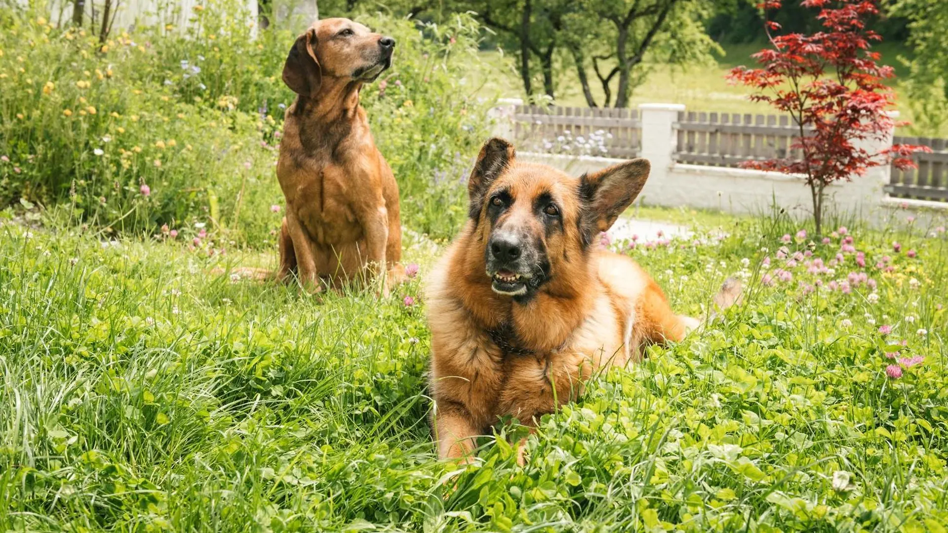 Edenhauserhof Innsbruck Neu Gotzens