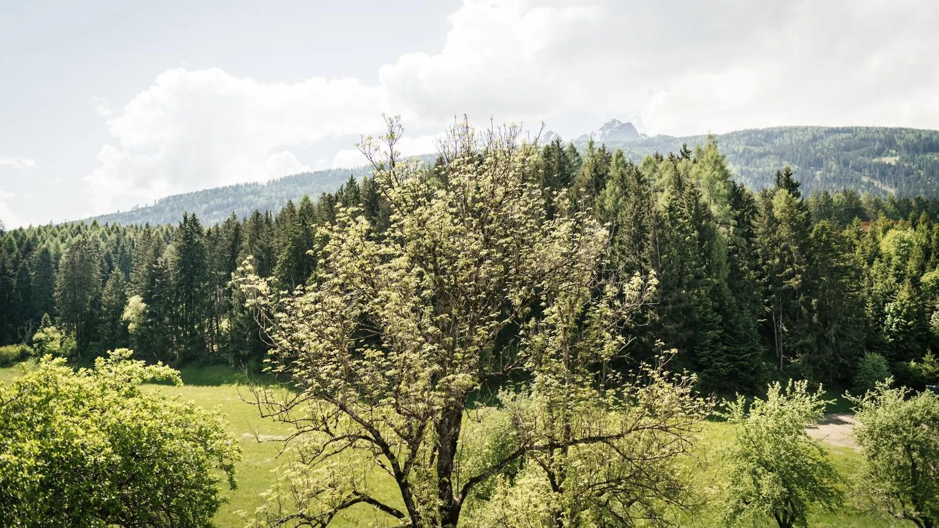 Edenhauserhof Innsbruck Austria